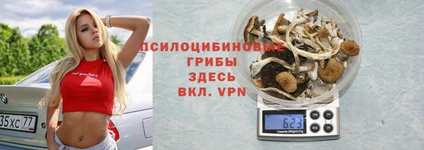 гидропоника Арсеньев